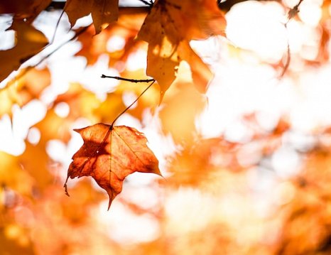 Philly Loves Fall, But Is Your Business Prepared?
